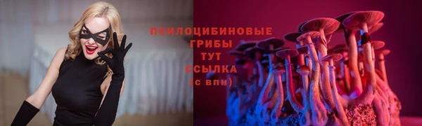mdpv Армянск